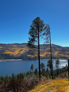 Bear Paw Lodge & Vacation Homes